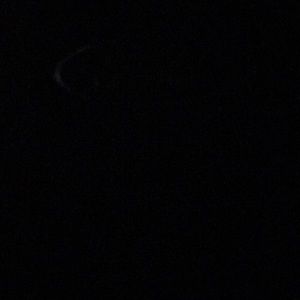 Meet your Posher, Ariana